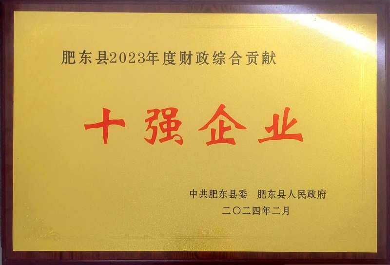 肥東縣2023年度財政綜合貢獻十強企業(yè)