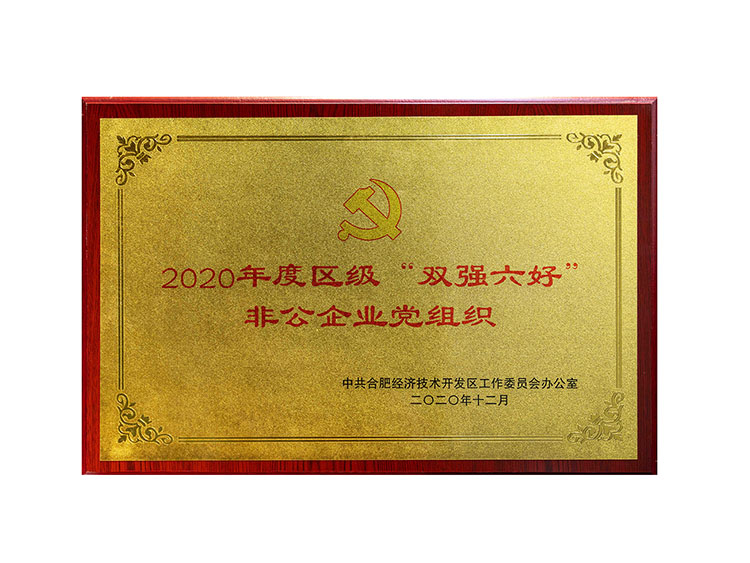 2020年度區(qū)級“雙強六好非公企業(yè)黨組織“